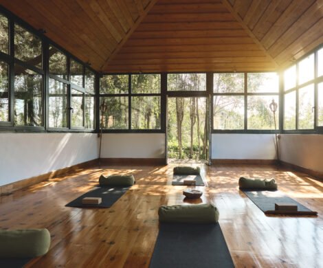 bufo-retreat