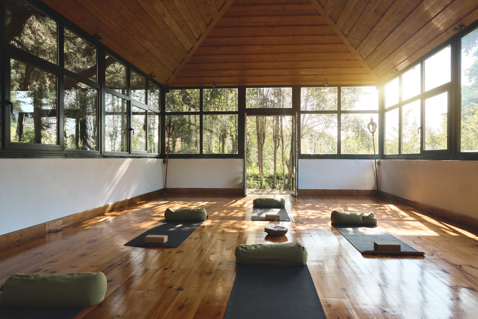 bufo-retreat