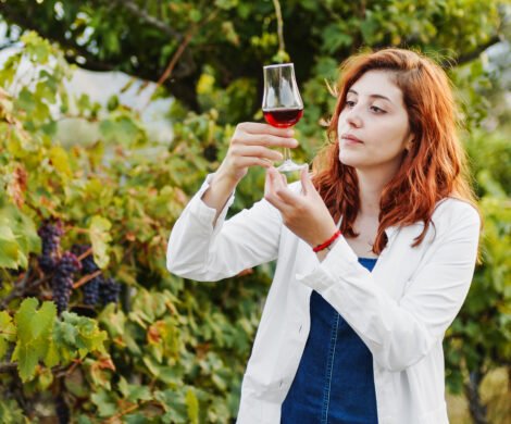 french wine