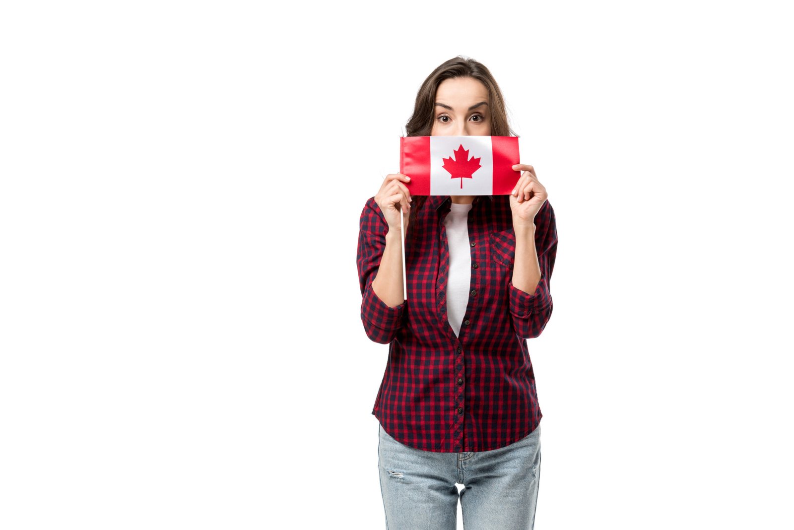 pr renewal in canada